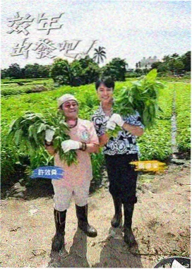 备用入口验证资讯